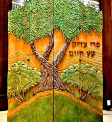 Tree of Life Ark at Hebrew Senior Life, Boston MA