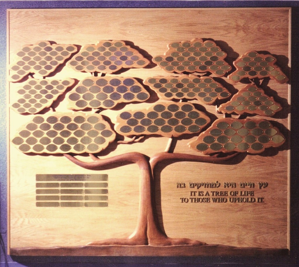 Tree of Life Donor Wall New Bedford MA